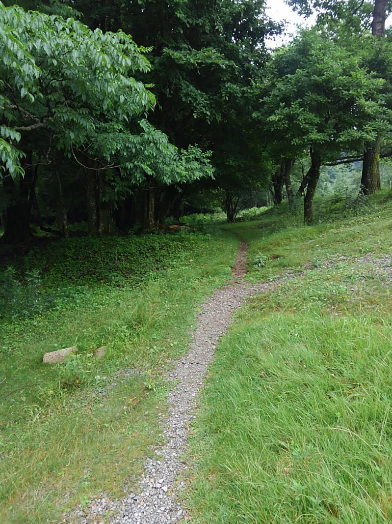 f:id:Aoituki:20190728223244j:plain f:id:Aoituki:20190728223244j:plain