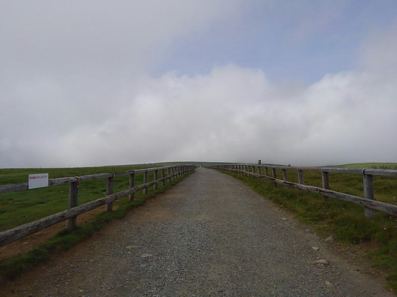 f:id:Aoituki:20190815150356j:plain f:id:Aoituki:20190815150356j:plain