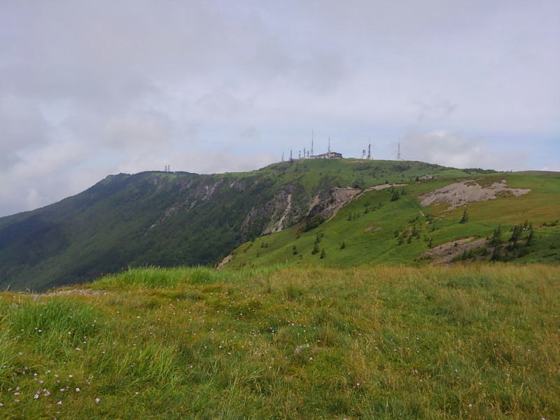 f:id:Aoituki:20190815150410j:plain f:id:Aoituki:20190815150410j:plain