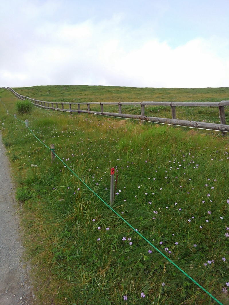 f:id:Aoituki:20190815150518j:plain f:id:Aoituki:20190815150518j:plain