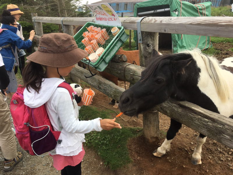 f:id:Aoituki:20190815150721j:plain f:id:Aoituki:20190815150721j:plain