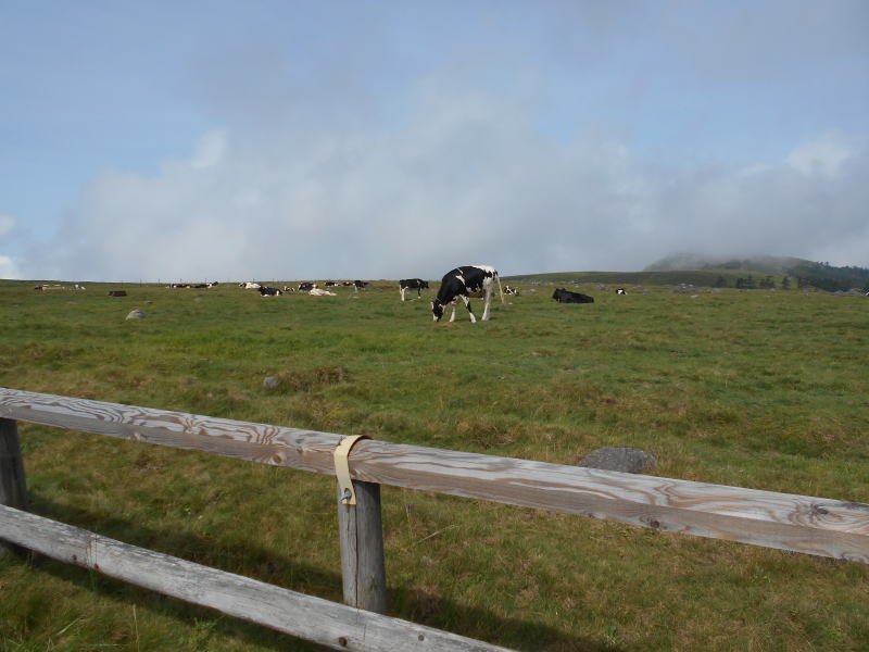 f:id:Aoituki:20190815150749j:plain f:id:Aoituki:20190815150749j:plain