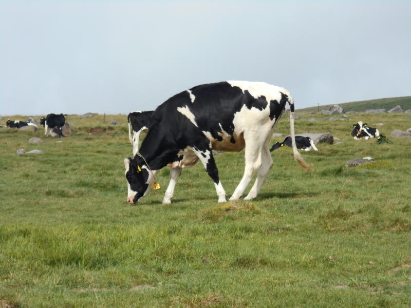 f:id:Aoituki:20190815151145j:plain f:id:Aoituki:20190815151145j:plain