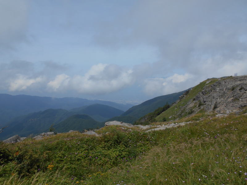 f:id:Aoituki:20190815151443j:plain f:id:Aoituki:20190815151443j:plain