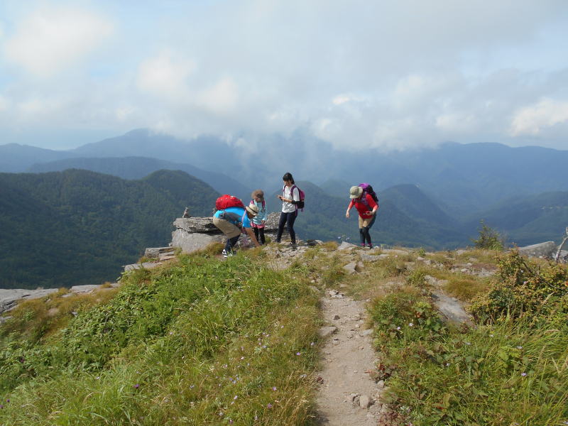 f:id:Aoituki:20190815151500j:plain f:id:Aoituki:20190815151500j:plain