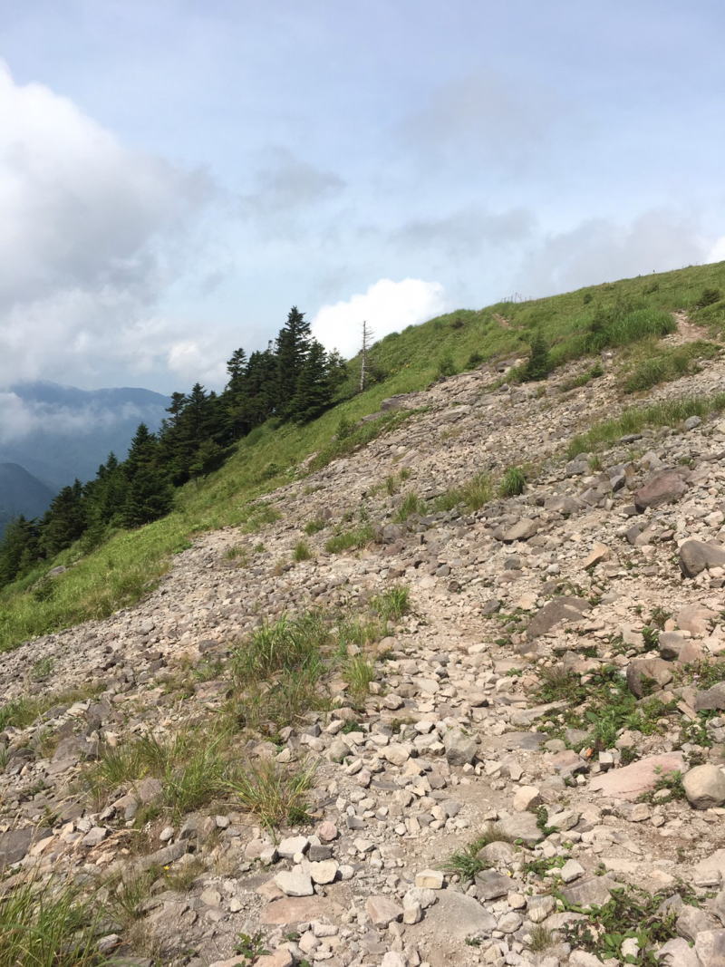 f:id:Aoituki:20190815151719j:plain f:id:Aoituki:20190815151719j:plain