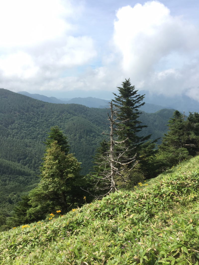 f:id:Aoituki:20190815151755j:plain f:id:Aoituki:20190815151755j:plain