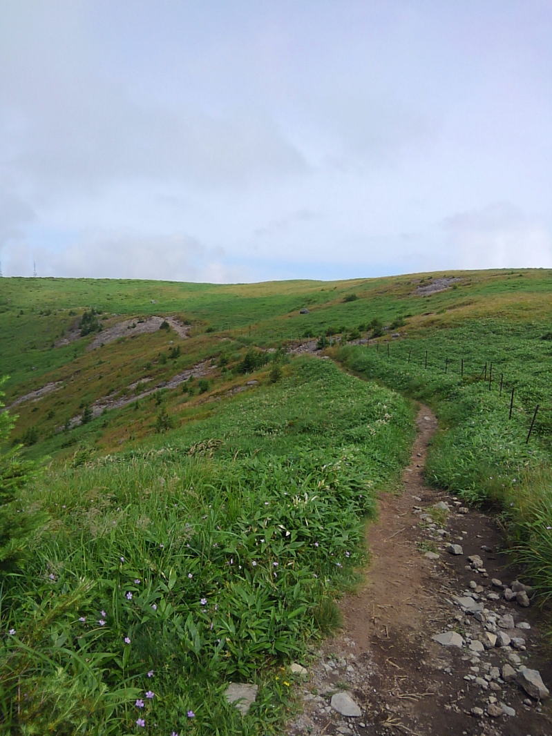 f:id:Aoituki:20190815152043j:plain f:id:Aoituki:20190815152043j:plain