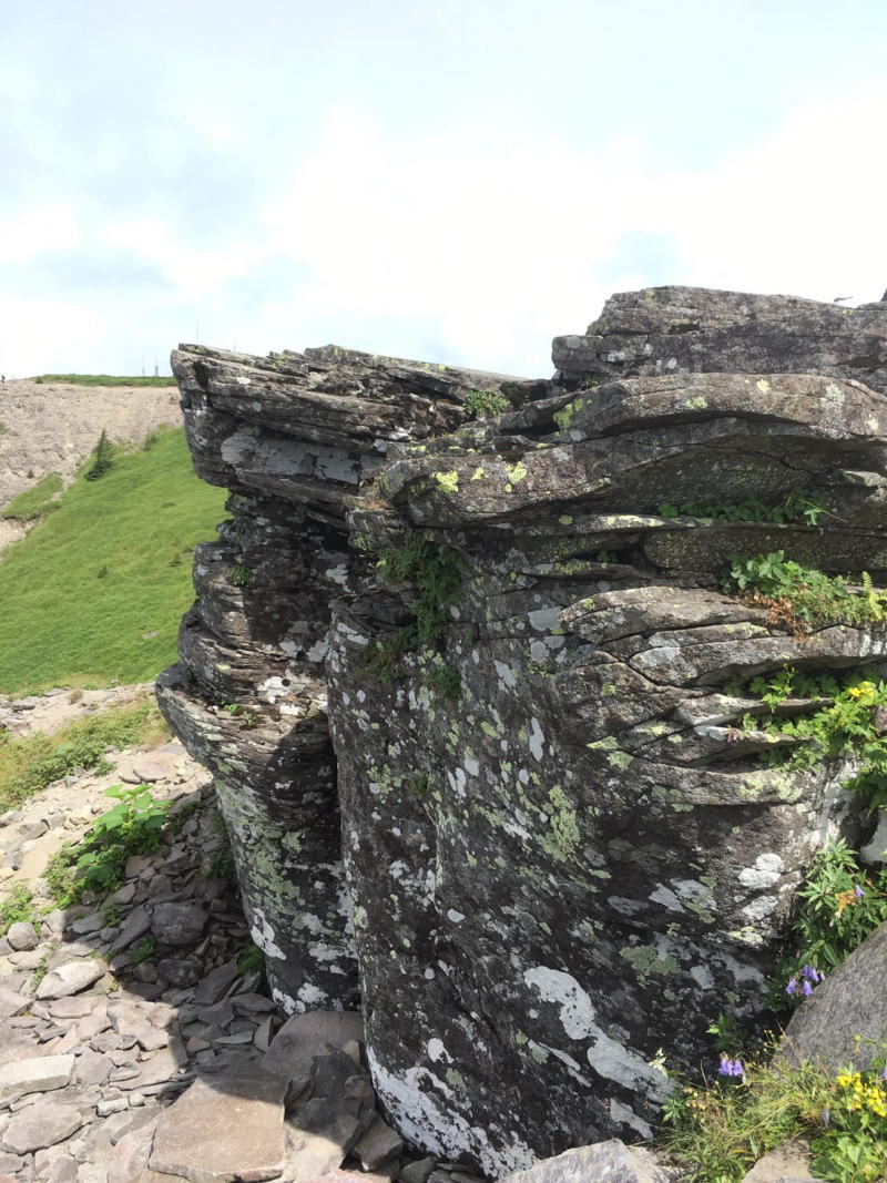 f:id:Aoituki:20190815152100j:plain f:id:Aoituki:20190815152100j:plain