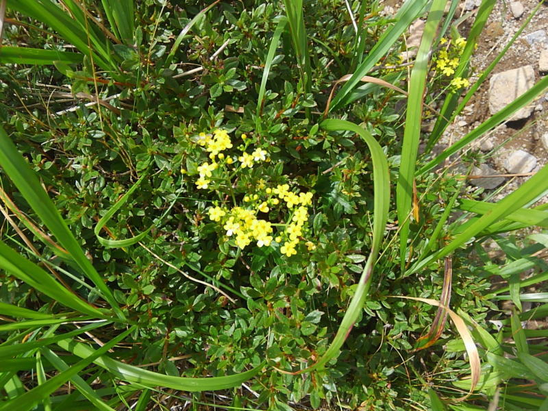 f:id:Aoituki:20190815152607j:plain f:id:Aoituki:20190815152607j:plain