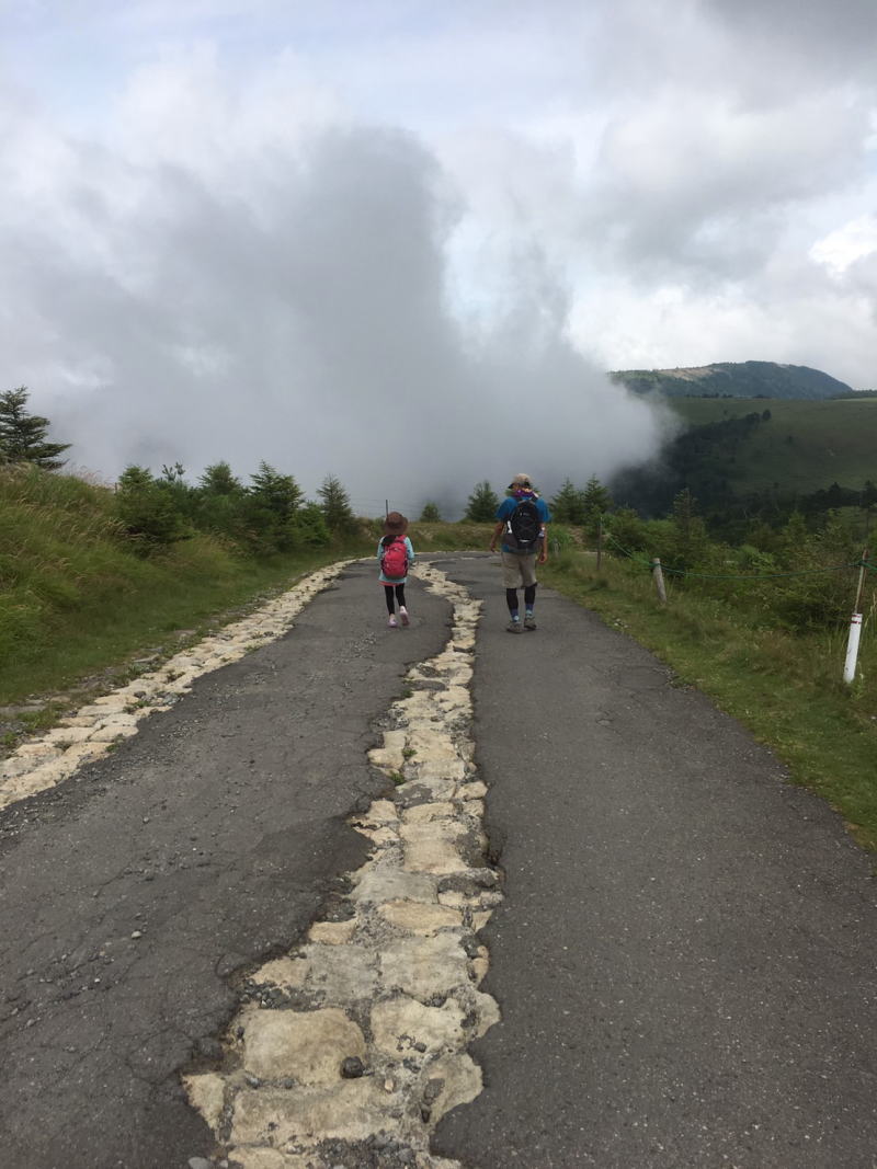 f:id:Aoituki:20190815152832j:plain f:id:Aoituki:20190815152832j:plain