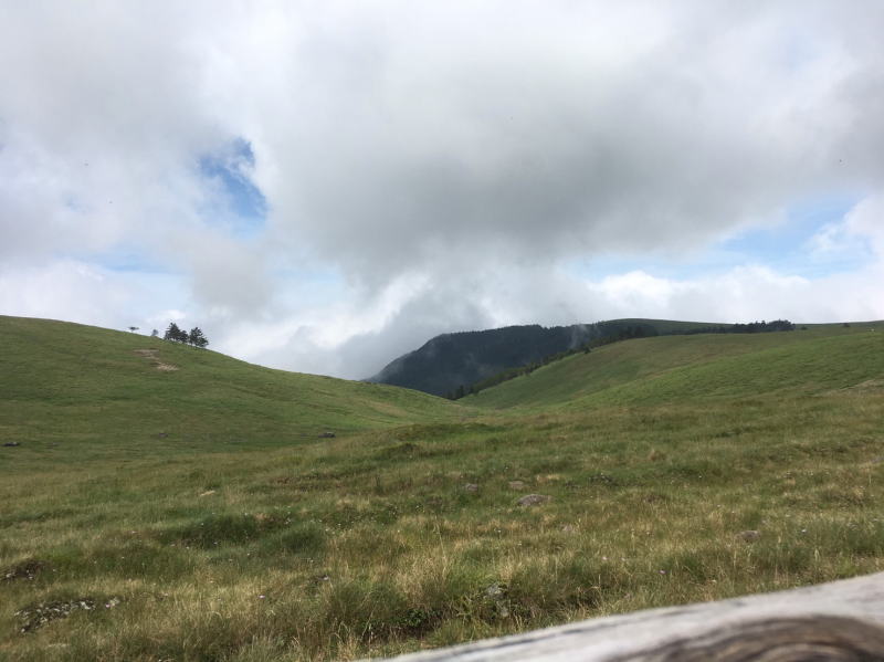 f:id:Aoituki:20190815152907j:plain f:id:Aoituki:20190815152907j:plain