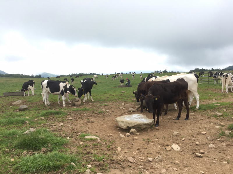 f:id:Aoituki:20190815152932j:plain f:id:Aoituki:20190815152932j:plain