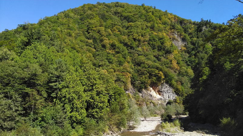 f:id:Aoituki:20191012121333j:plain f:id:Aoituki:20191012121333j:plain
