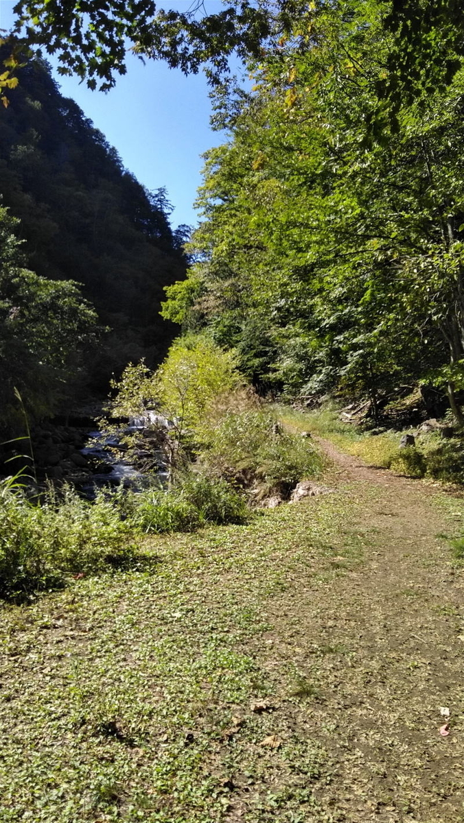 f:id:Aoituki:20191012121417j:plain f:id:Aoituki:20191012121417j:plain