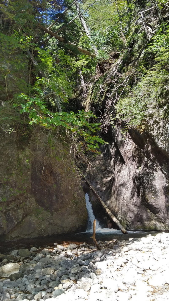 f:id:Aoituki:20191012121601j:plain f:id:Aoituki:20191012121601j:plain