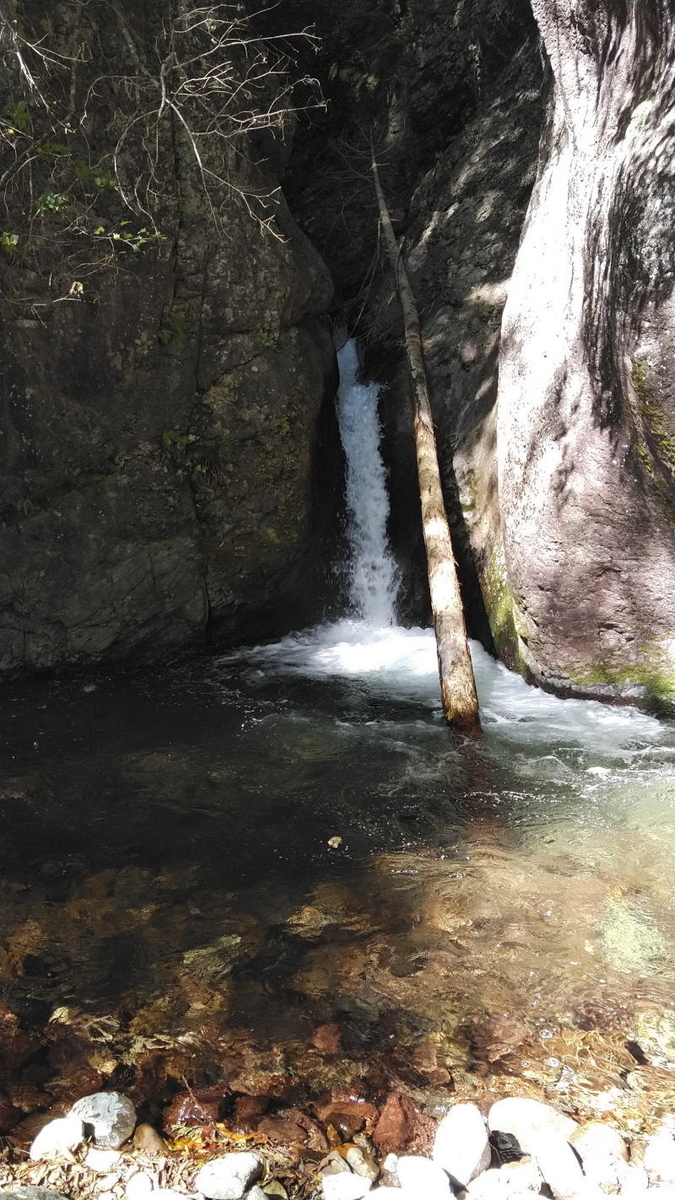 f:id:Aoituki:20191012121620j:plain f:id:Aoituki:20191012121620j:plain
