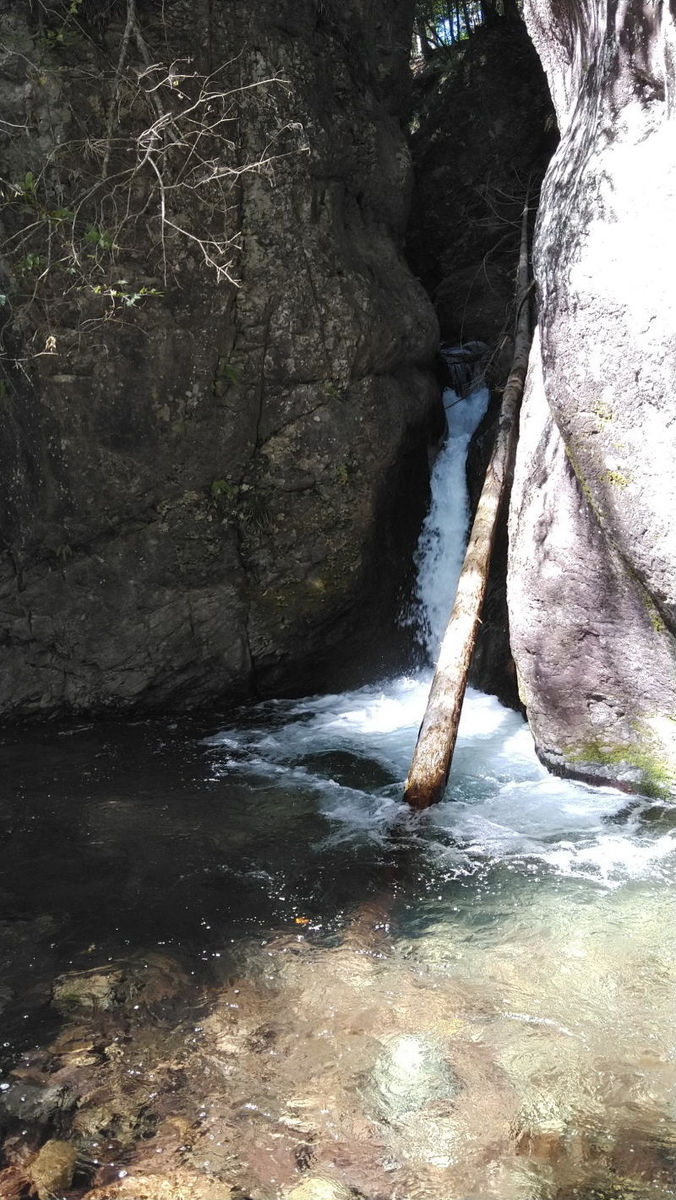 f:id:Aoituki:20191012121637j:plain f:id:Aoituki:20191012121637j:plain