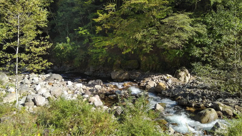 f:id:Aoituki:20191012121901j:plain f:id:Aoituki:20191012121901j:plain
