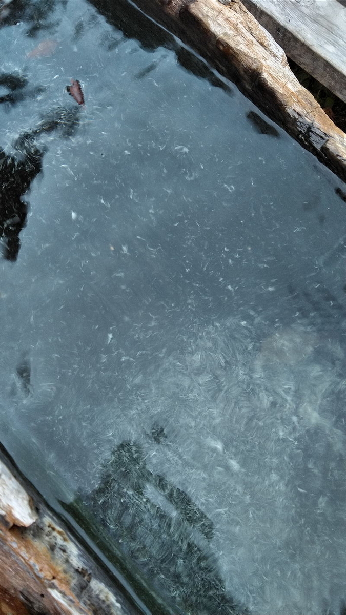 f:id:Aoituki:20191012122350j:plain f:id:Aoituki:20191012122350j:plain