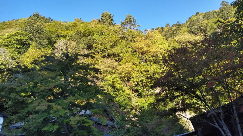 f:id:Aoituki:20191012123031j:plain f:id:Aoituki:20191012123031j:plain