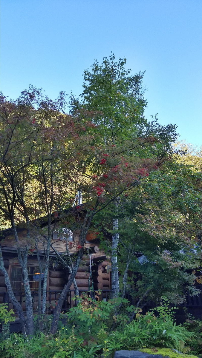 f:id:Aoituki:20191012123044j:plain f:id:Aoituki:20191012123044j:plain