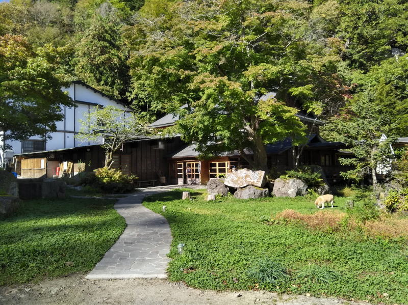 f:id:Aoituki:20191012123200j:plain f:id:Aoituki:20191012123200j:plain