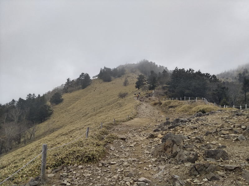 f:id:Aoituki:20191118184159j:plain