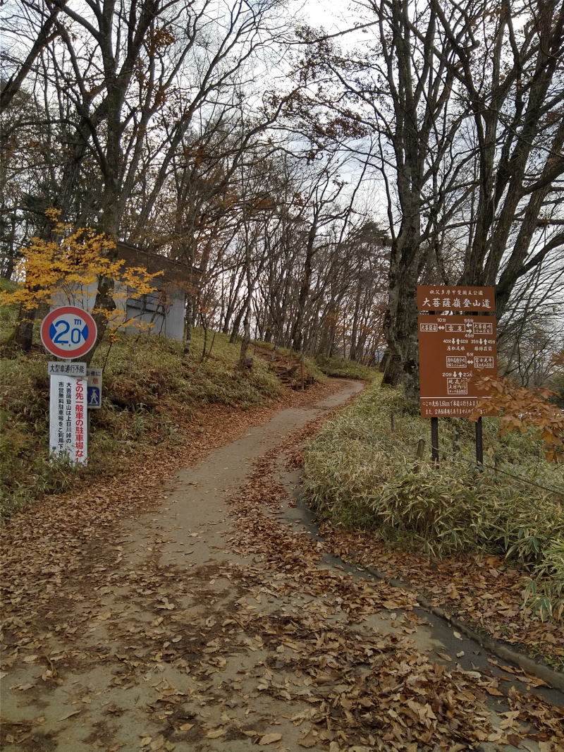 f:id:Aoituki:20191118184311j:plain