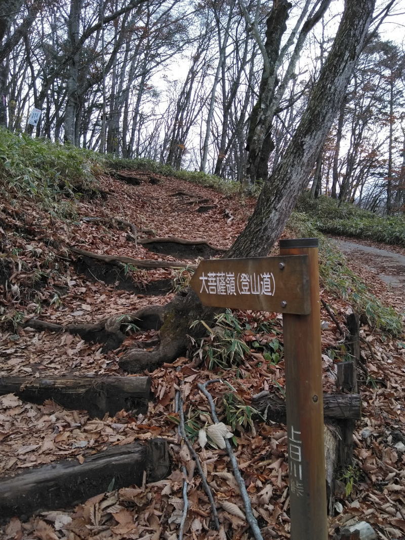 f:id:Aoituki:20191118184335j:plain