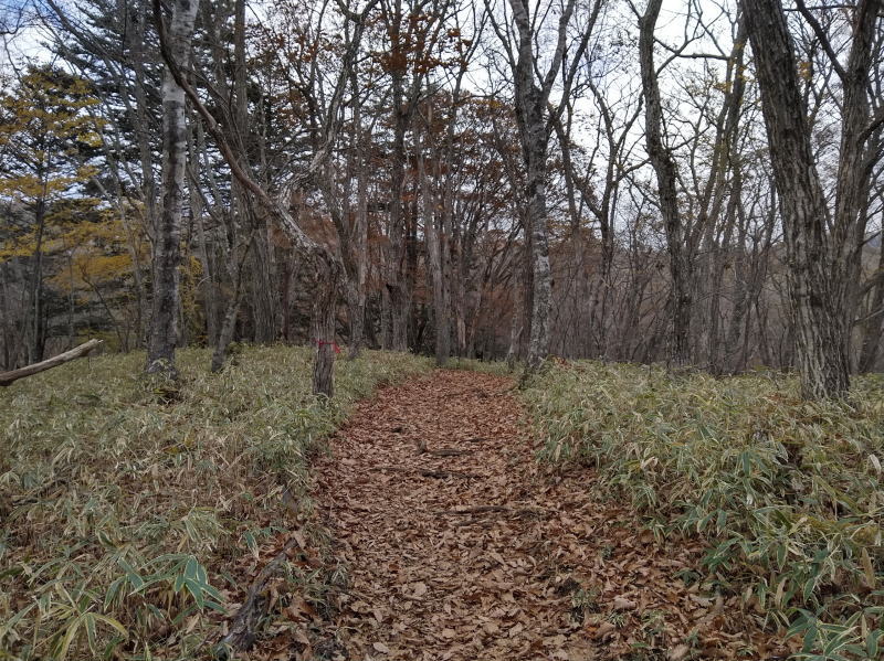 f:id:Aoituki:20191118184345j:plain