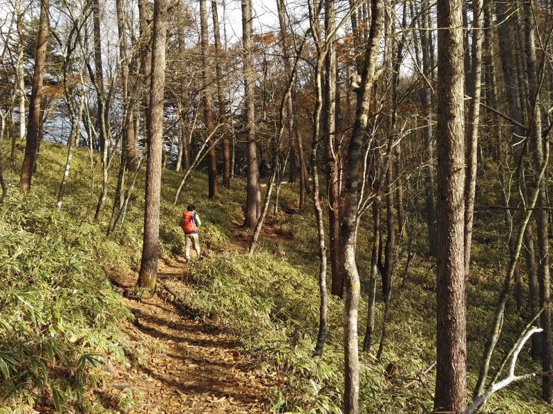 f:id:Aoituki:20191118184437j:plain