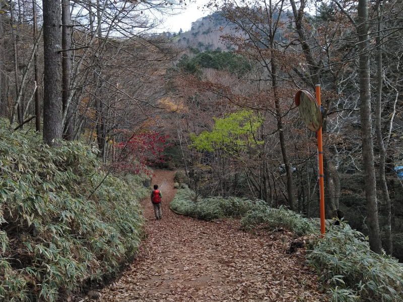 f:id:Aoituki:20191118184553j:plain