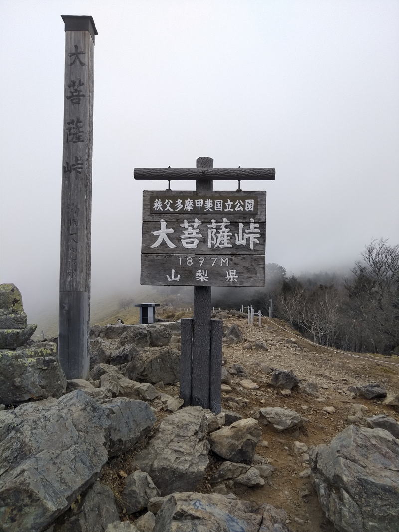 f:id:Aoituki:20191118184648j:plain