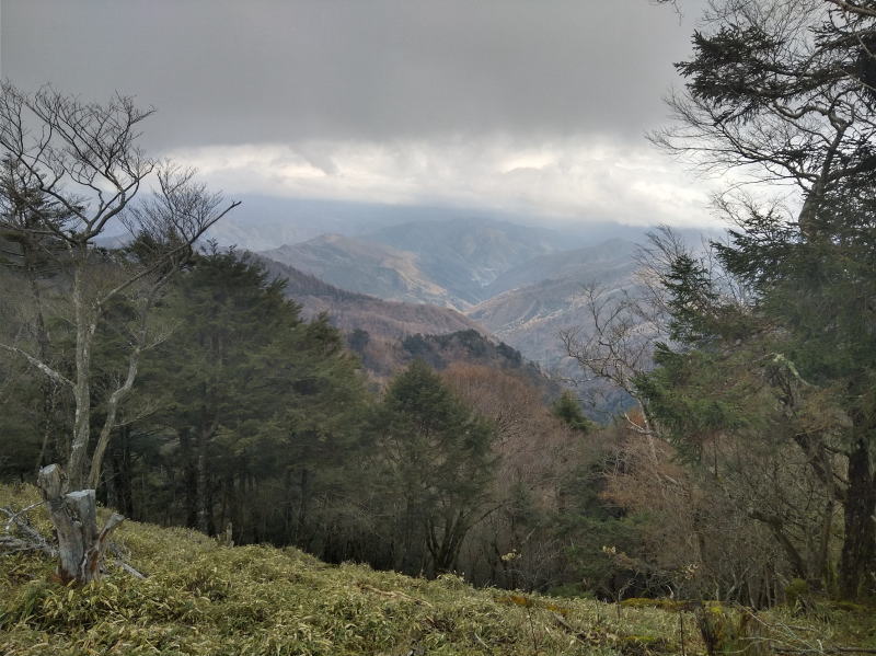 f:id:Aoituki:20191118184705j:plain