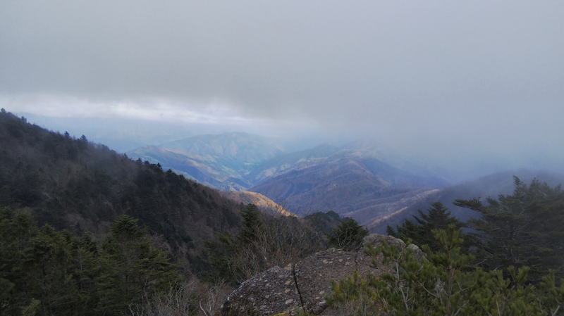 f:id:Aoituki:20191118184842j:plain