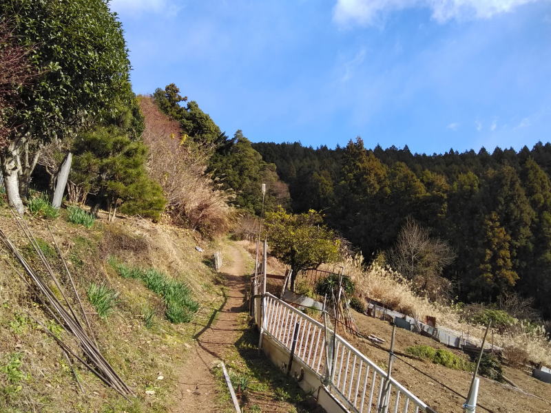 f:id:Aoituki:20200105204442j:plain