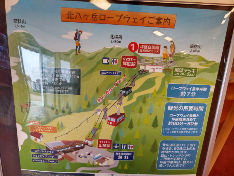 f:id:Aoituki:20200624224648j:plain f:id:Aoituki:20200624224648j:plain