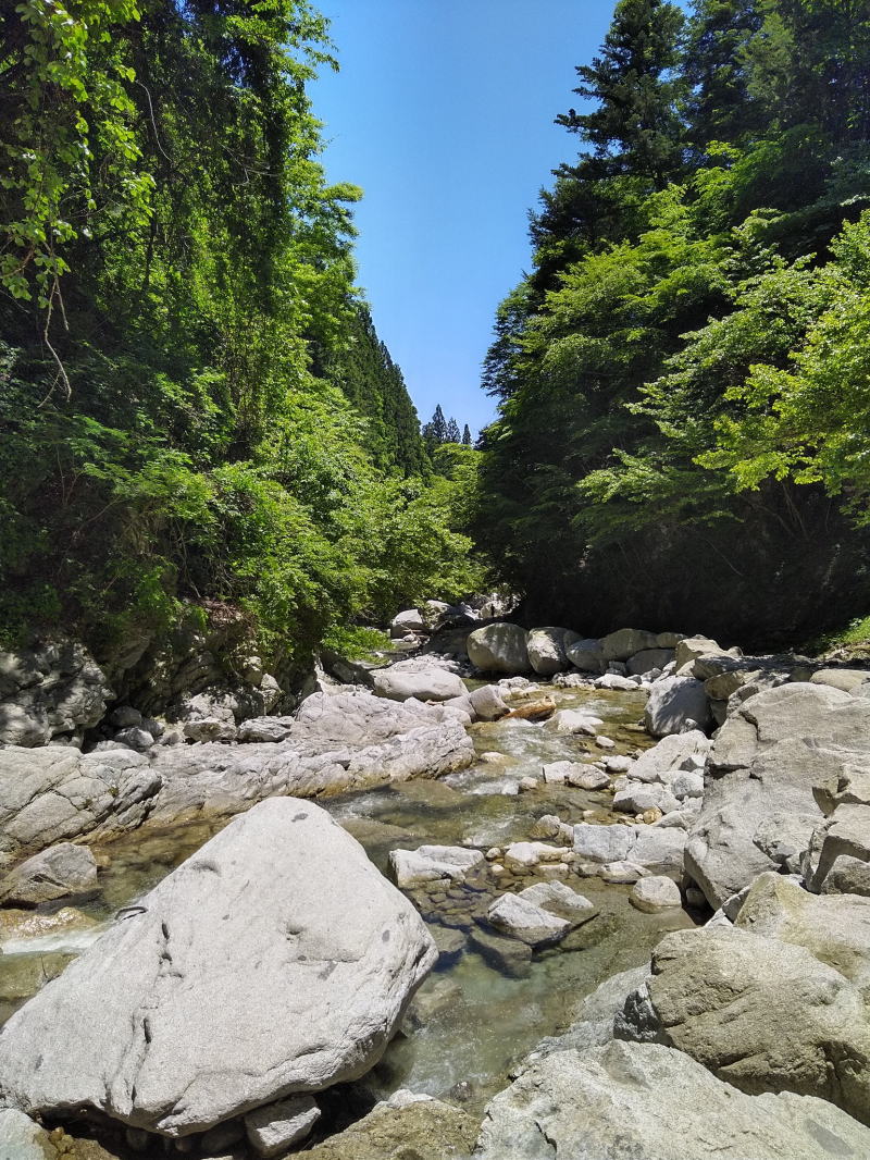 f:id:Aoituki:20210611233056j:plain
