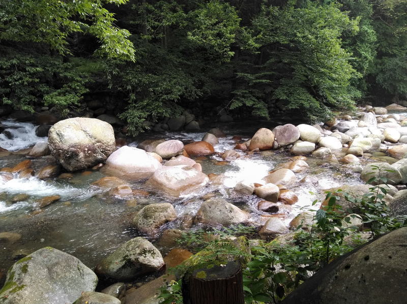 f:id:Aoituki:20210902140715j:plain