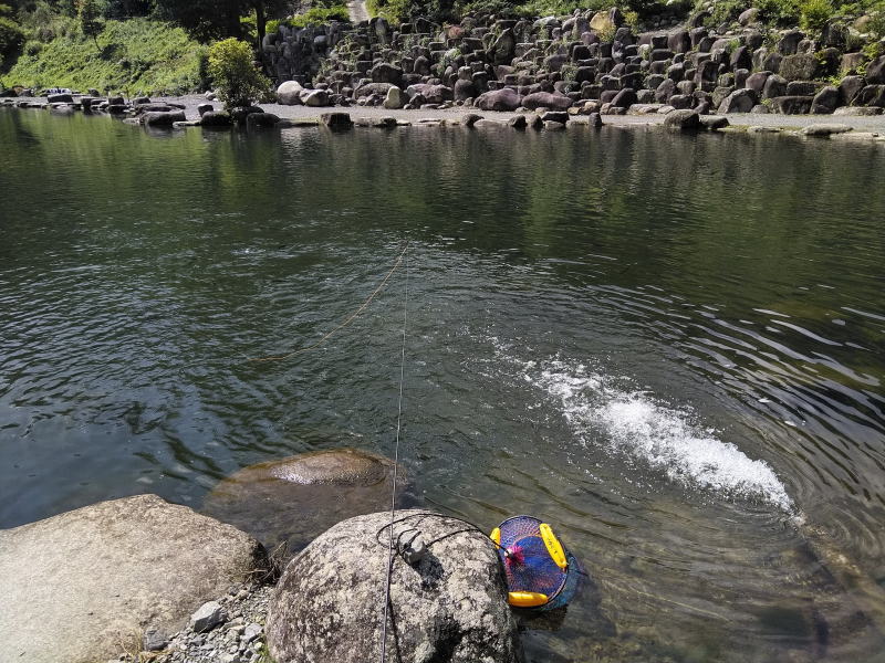 f:id:Aoituki:20210902140739j:plain