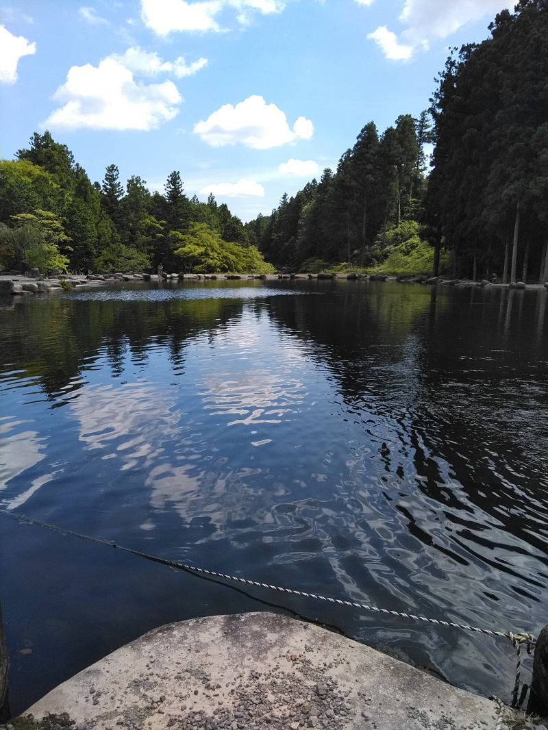 f:id:Aoituki:20210902141002j:plain