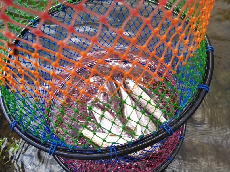 f:id:Aoituki:20210902141030j:plain