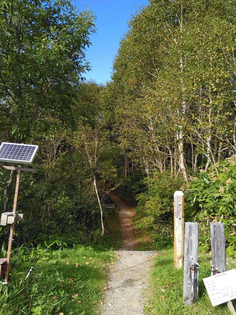 f:id:Aoituki:20210926234459j:plain