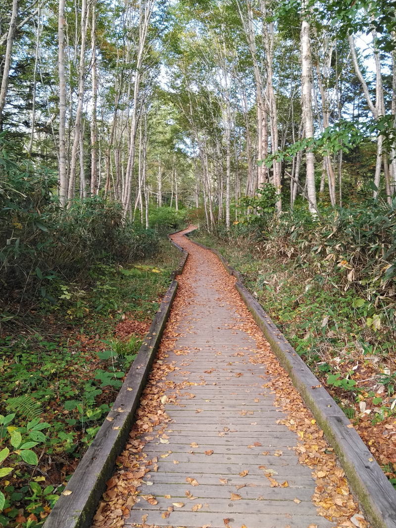 f:id:Aoituki:20210926234512j:plain