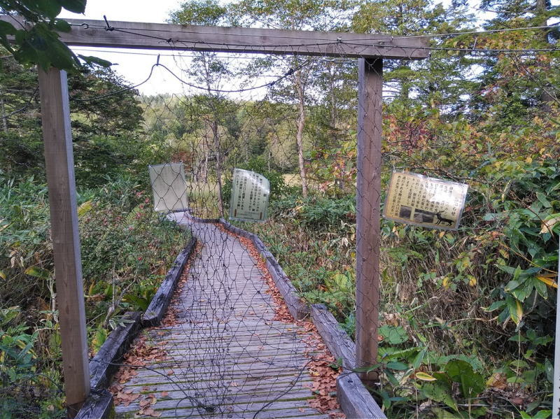 f:id:Aoituki:20210926234531j:plain