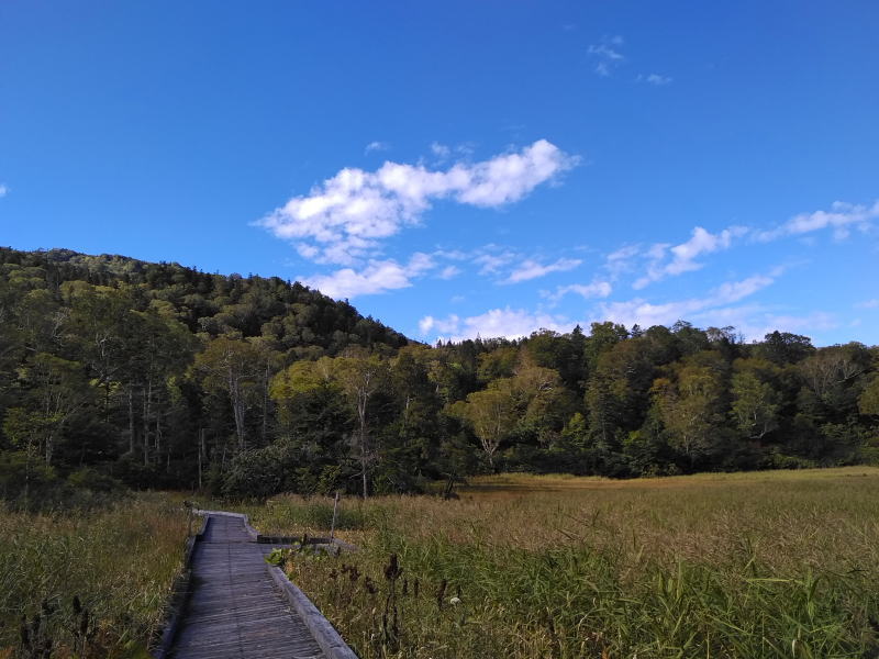 f:id:Aoituki:20210926234553j:plain