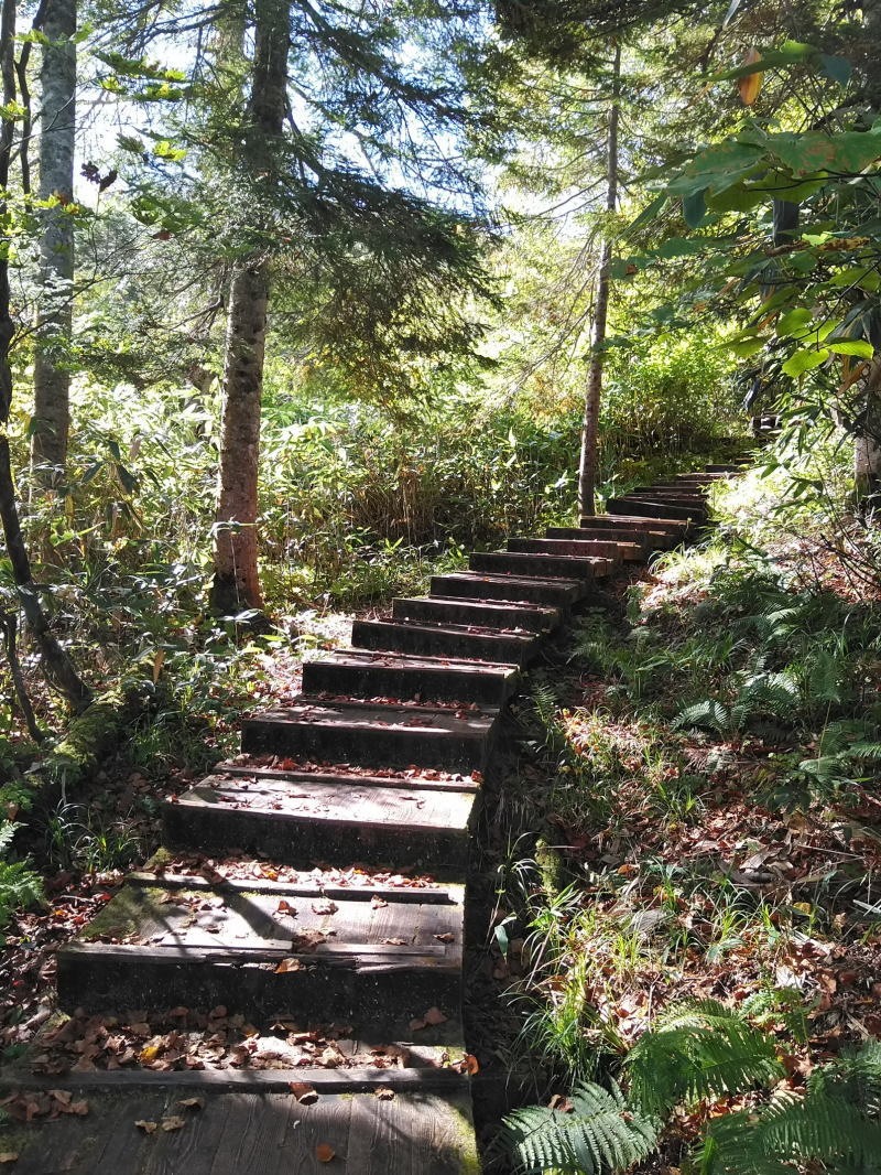 f:id:Aoituki:20210926234609j:plain