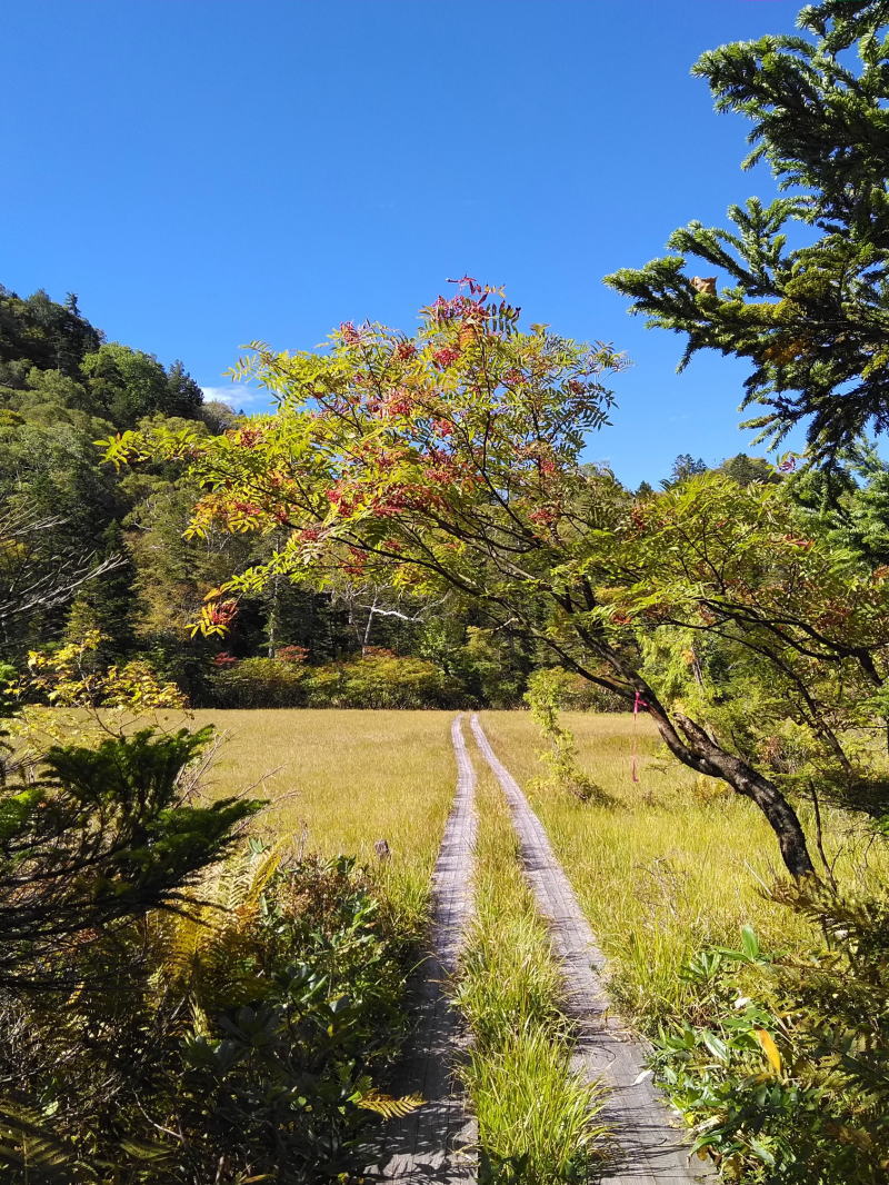 f:id:Aoituki:20210926234621j:plain