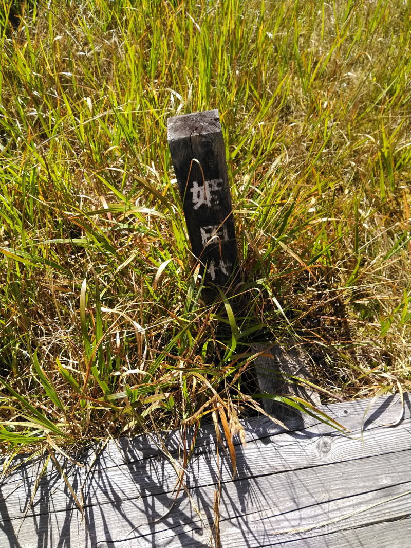 f:id:Aoituki:20210926234632j:plain